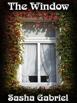cover image of The Window